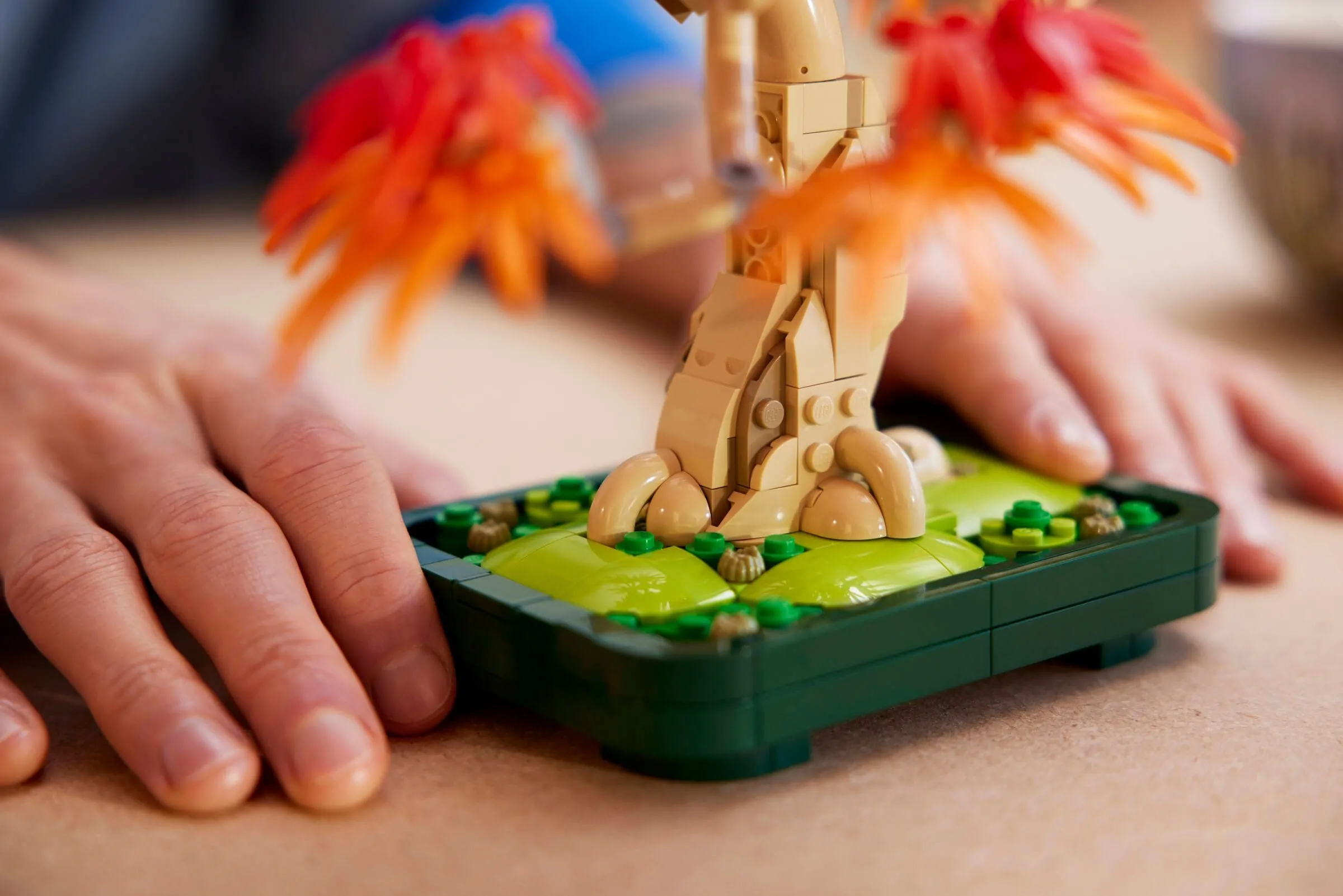 LEGO Botanicals Japanse esdoorn bonsaiboompje 10348